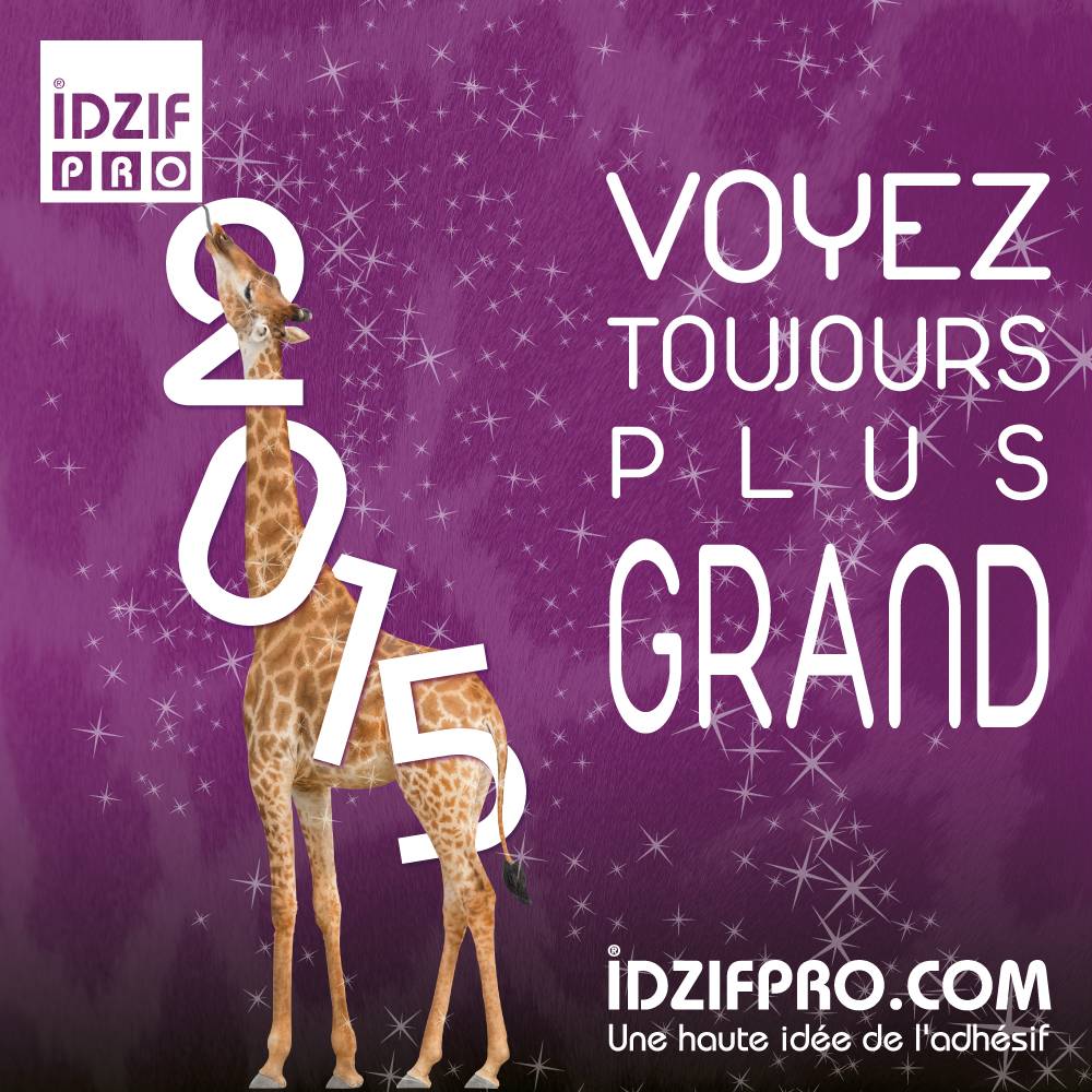  voeux iDzifPro